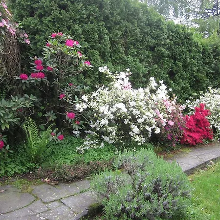 Apartman Casa Monttruc Lugano